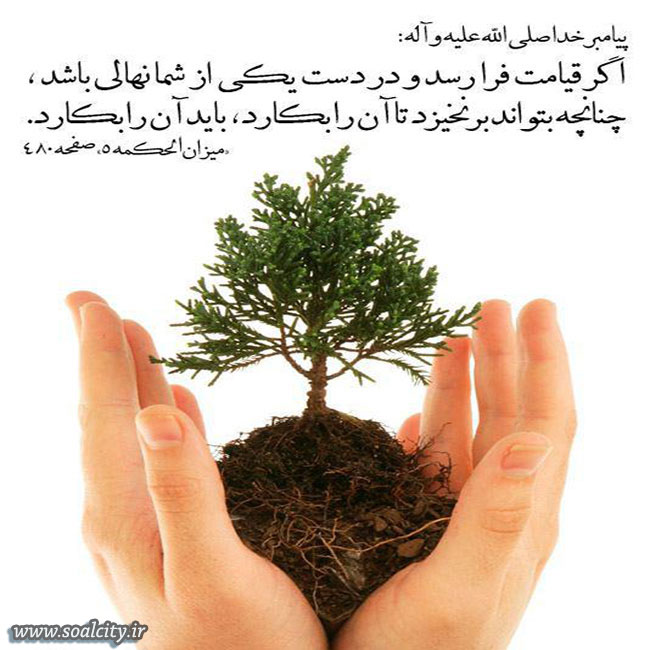 سفارش اسلام به درختکاری