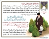 اهمیت درختکاری در اسلام