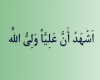 اَشْهَدُ أَنَّ عَلِيَّاً وَلِىُّ اللّهِ