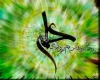  سیّد