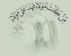 12 خلیفه 